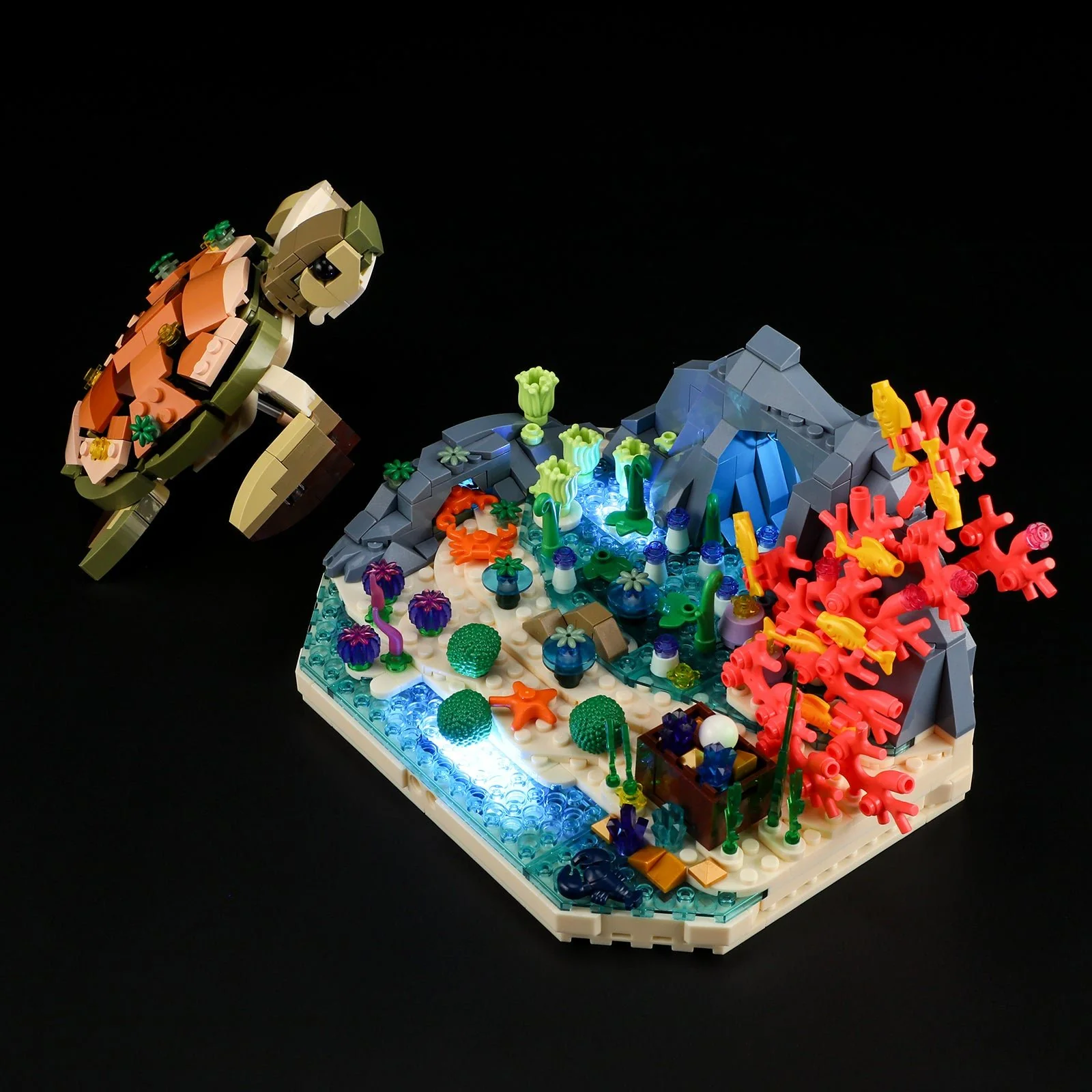 435-turtle-reef-dream-3.webp Turtle Reef Dream
