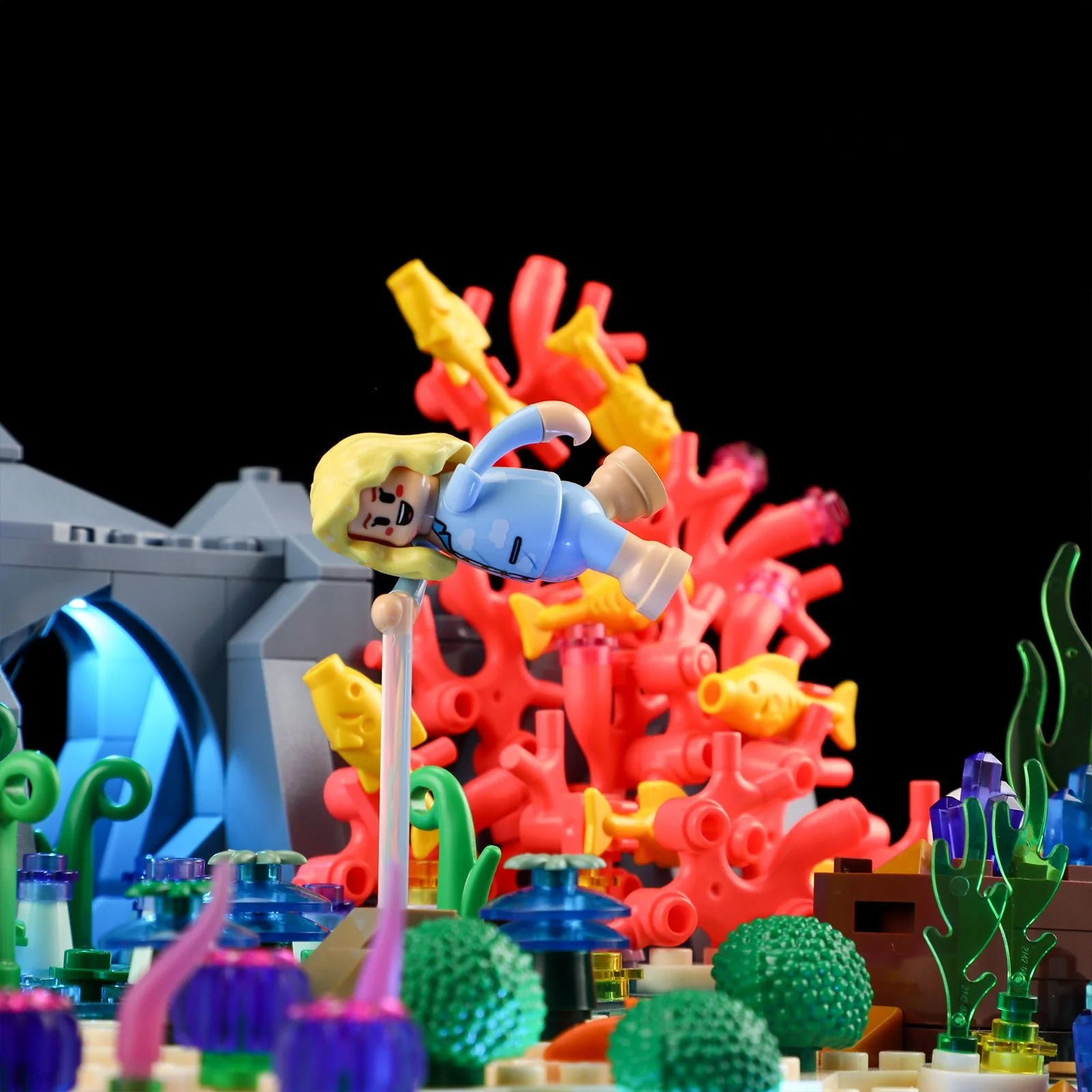 435-turtle-reef-dream-4.webp Turtle Reef Dream