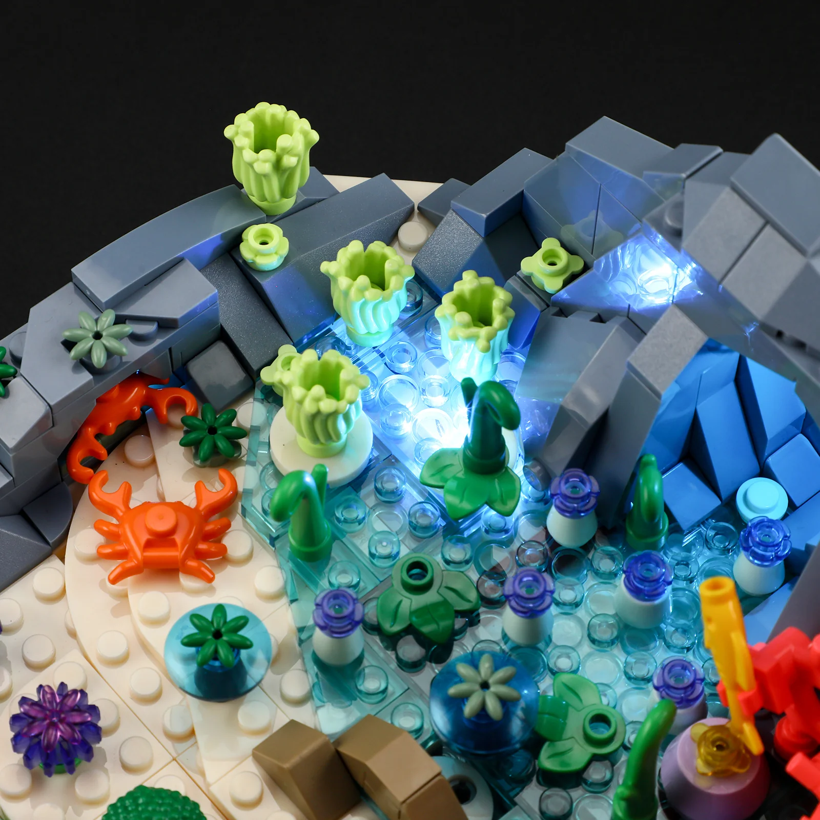 435-turtle-reef-dream-5.webp Turtle Reef Dream
