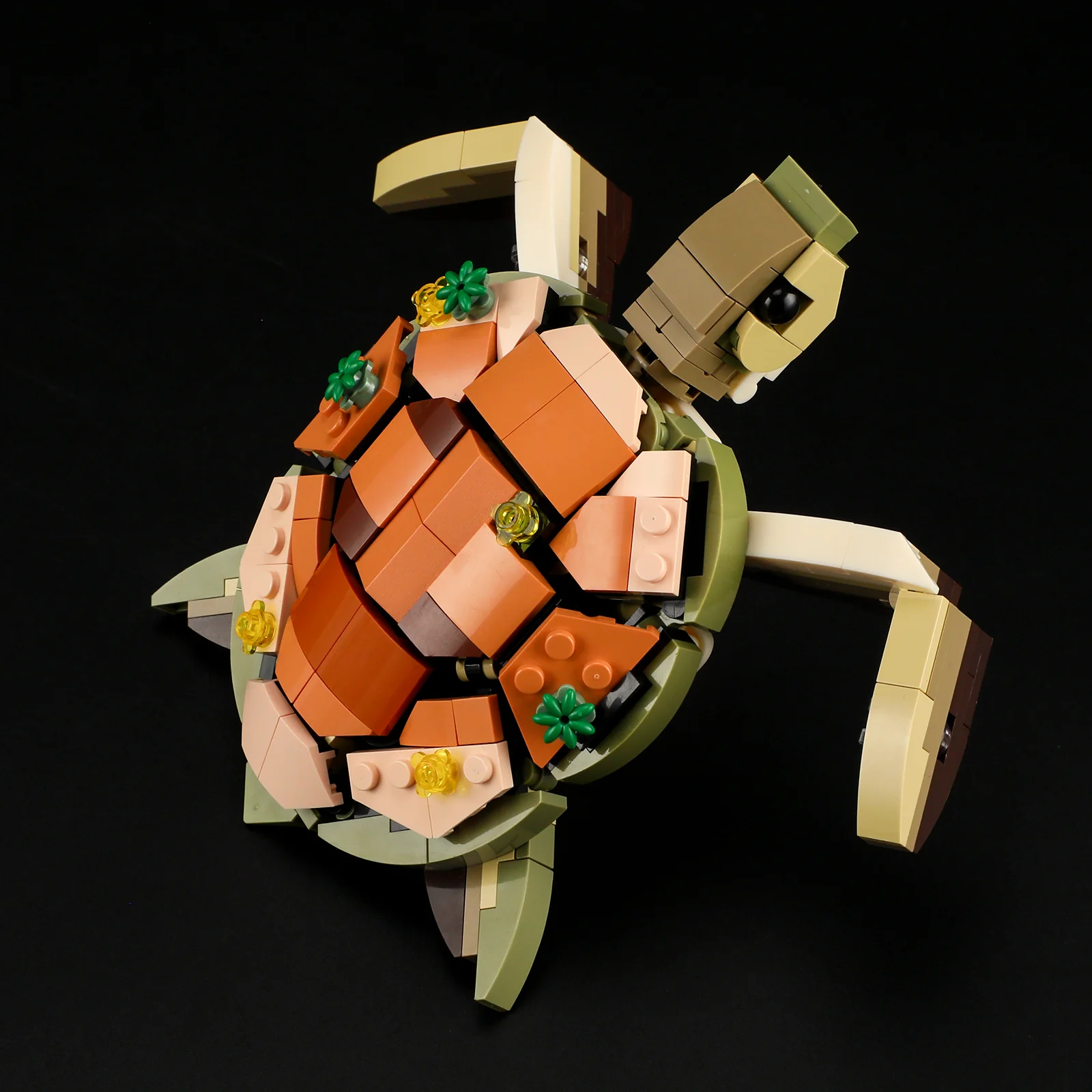 435-turtle-reef-dream-7.webp Turtle Reef Dream